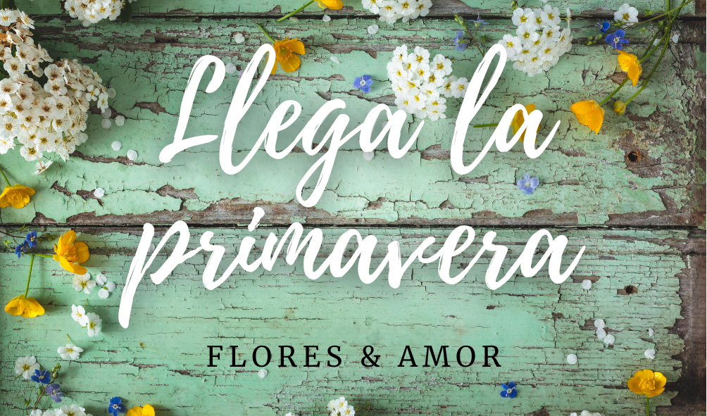 flores y amor